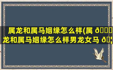 属龙和属马姻缘怎么样(属 🐘 龙和属马姻缘怎么样男龙女马 🦊 )